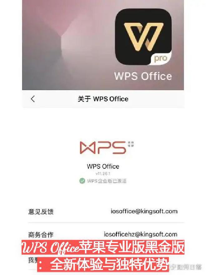 一、WPS Office苹果专业版黑金版概述
