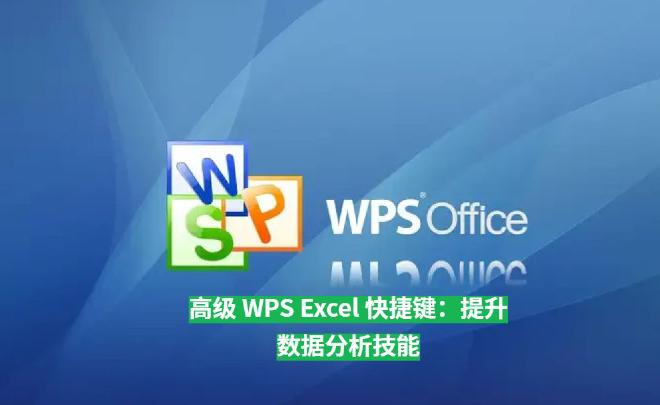 在本文中，我们将深入探讨一系列适用于数据分析师和高级用户的WPSExcel 快捷键，帮助你更高效地操...