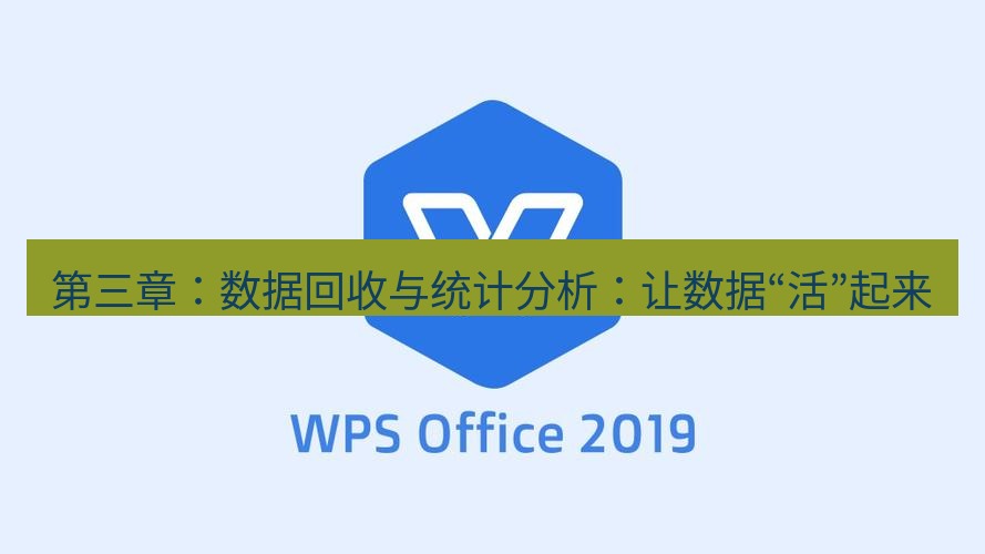 wps下载 第三章：数据回收与统计分析：让数据“活”起来