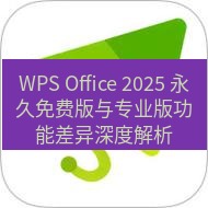 wps下载 WPS Office 2025 永久免费版与专业版功能差异深度解析