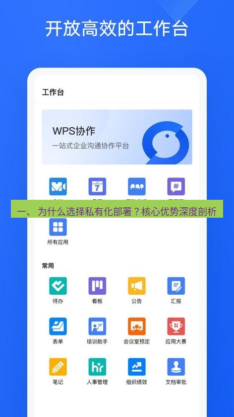 wps下载 一、 为什么选择私有化部署？核心优势深度剖析