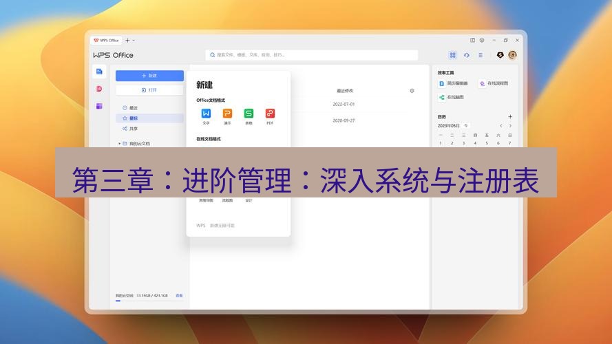 wps下载 第三章：进阶管理：深入系统与注册表