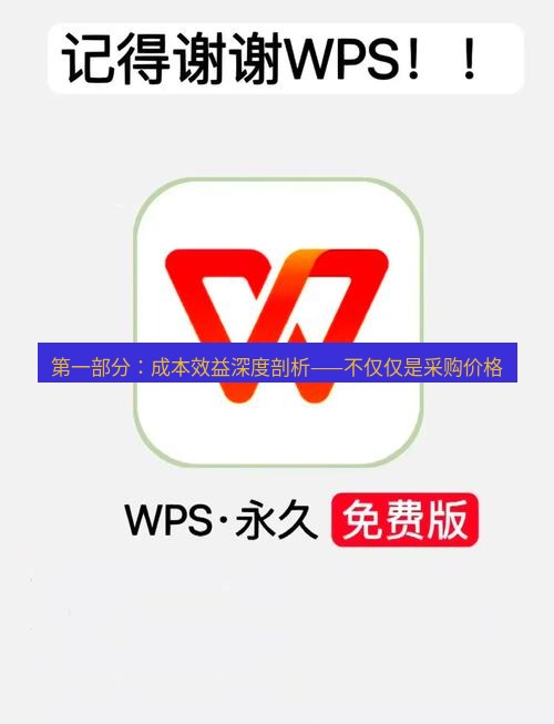 wps下载 第一部分：成本效益深度剖析——不仅仅是采购价格
