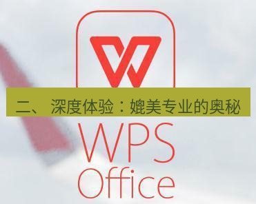 wps下载 二、 深度体验：媲美专业的奥秘