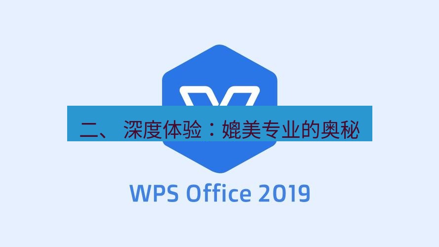 wps下载 二、 深度体验：媲美专业的奥秘