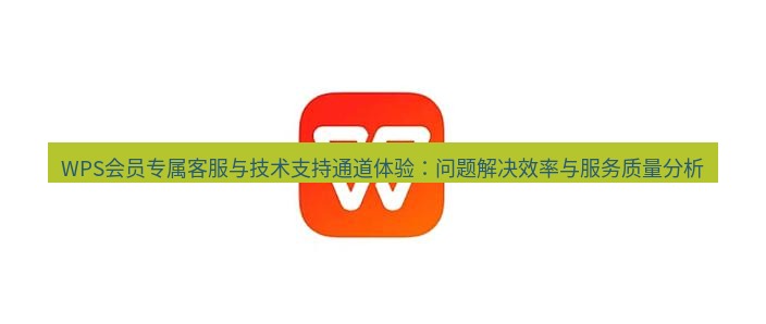 wps下载 WPS会员专属客服与技术支持通道体验：问题解决效率与服务质量分析