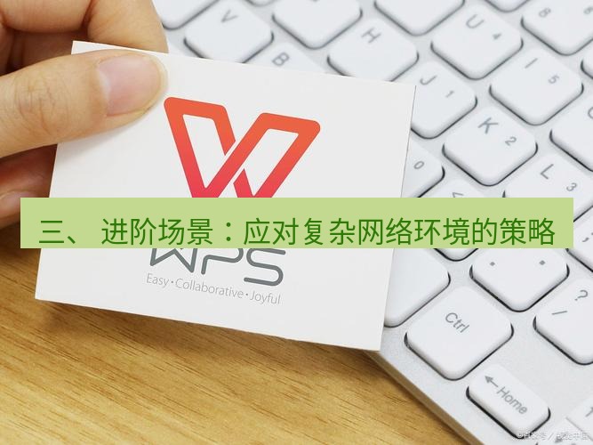 wps下载 三、 进阶场景：应对复杂网络环境的策略