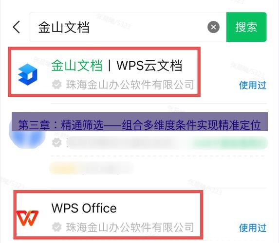 wps下载 第三章：精通筛选——组合多维度条件实现精准定位