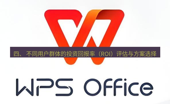 wps下载 四、 不同用户群体的投资回报率（ROI）评估与方案选择