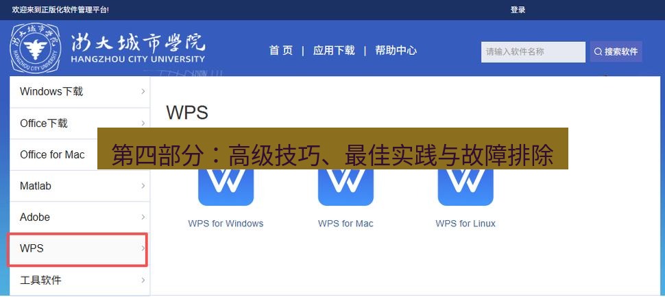 wps下载 第四部分：高级技巧、最佳实践与故障排除
