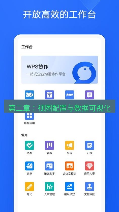 wps下载 第二章：视图配置与数据可视化