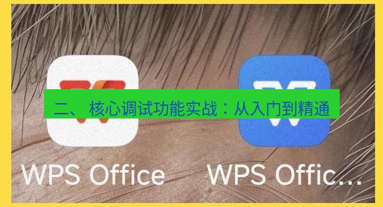 wps下载 二、 核心调试功能实战：从入门到精通