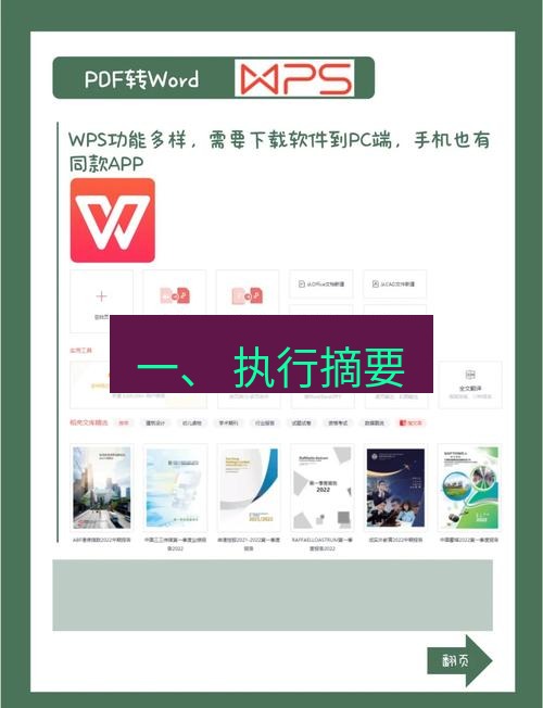 wps下载 一、 执行摘要