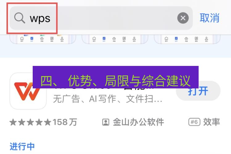 wps下载 四、 优势、局限与综合建议