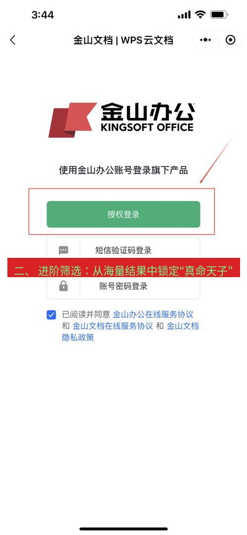 wps下载 二、 进阶筛选：从海量结果中锁定“真命天子”