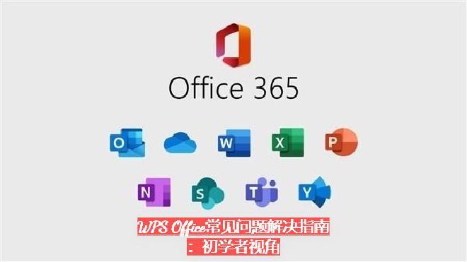 1.1 WPS Office安装失败